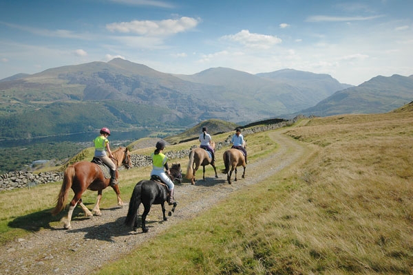 Pony Trekking & Riding Pony Trekking & Riding