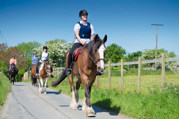 1 Hour Countryside Ride 1 Hour Countryside Ride