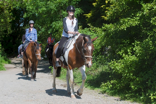1.5 Hour Countryside Ride 1.5 Hour Countryside Ride