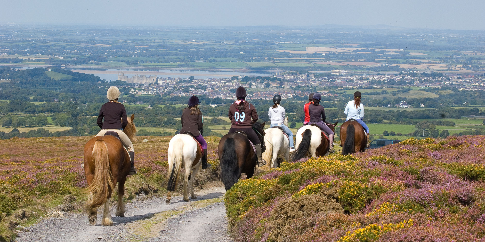 Half Day Mountain Ride